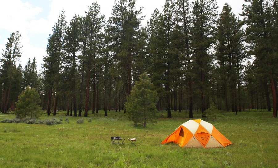 MINIMALWORKS GUAVA 3