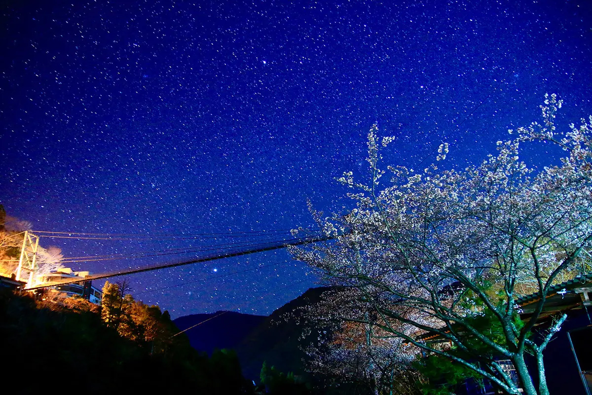 つり橋の里キャンプ場