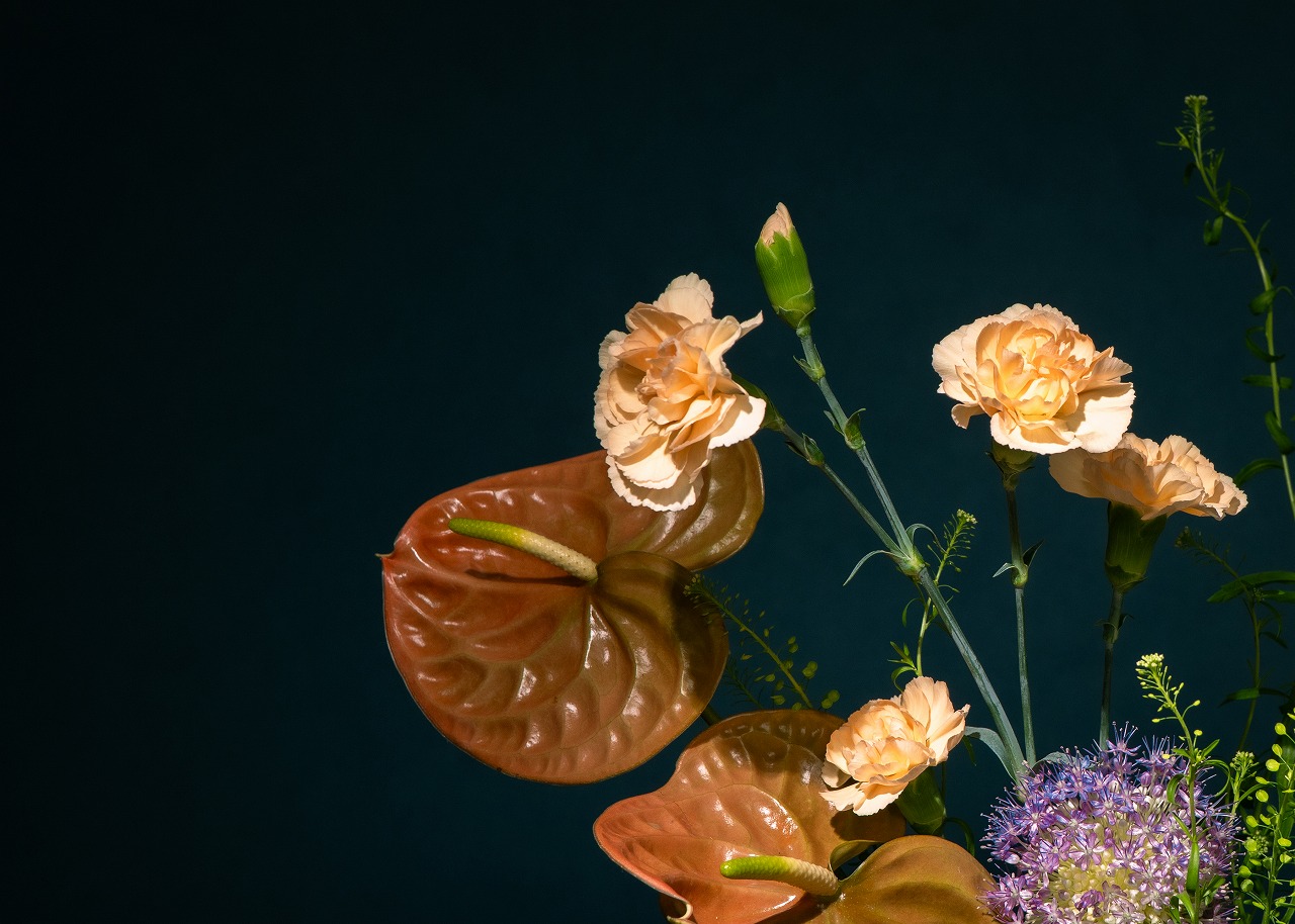 SS 2026 Special Collaboration