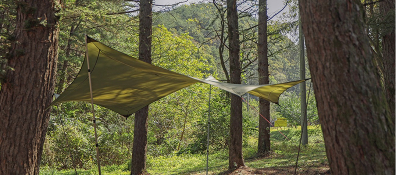 キャンプ SALE おすすめ