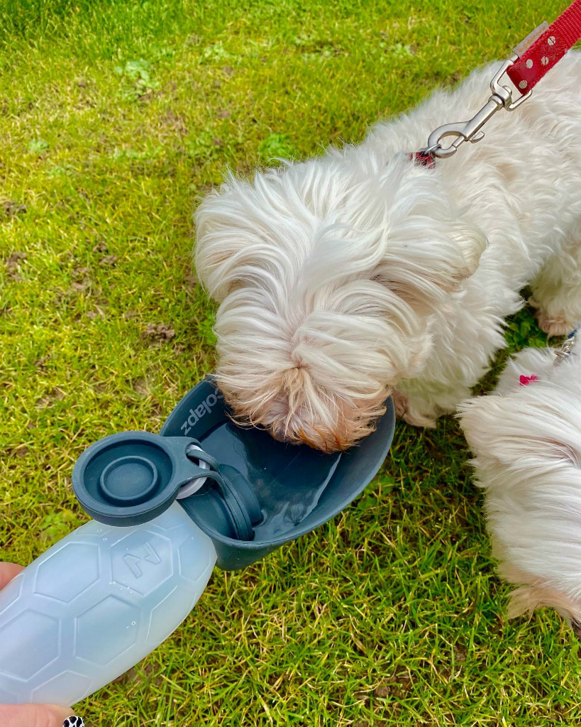COLAPZ コラプズ Portable Dog Water Bottle & Poop Bag Holder