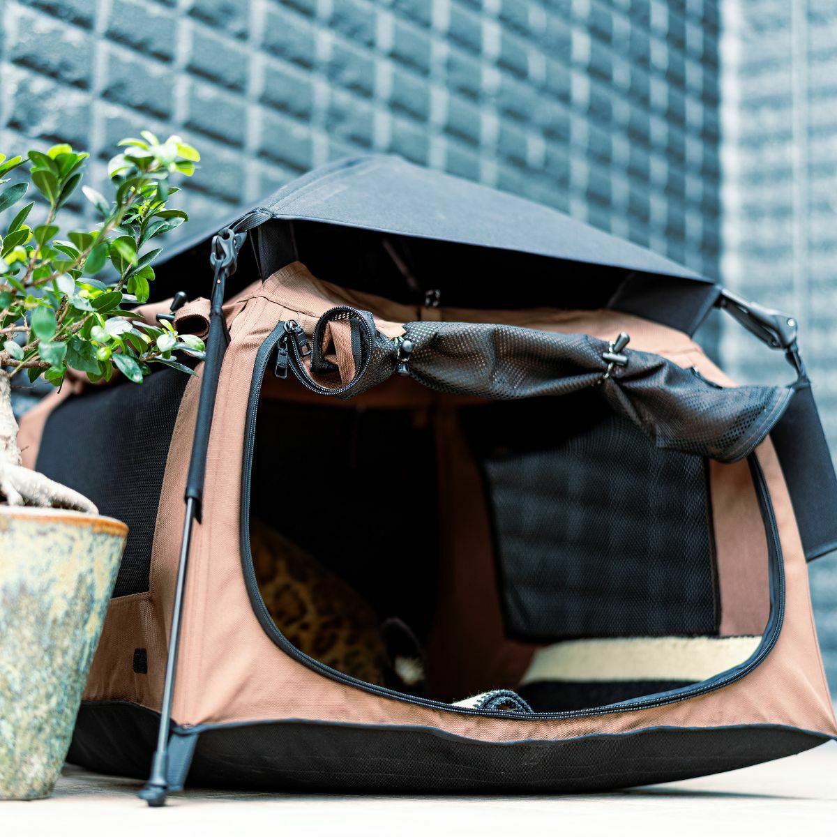 AS2OV(アッソブ) PET TENT ペットテント | アウトドア・キャンプ